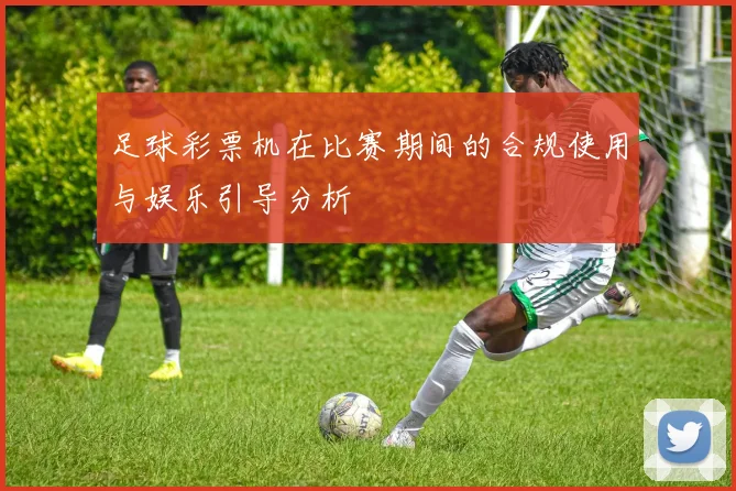 足球彩票机在比赛期间的合规使用与娱乐引导分析